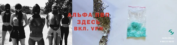 гашик Белокуриха