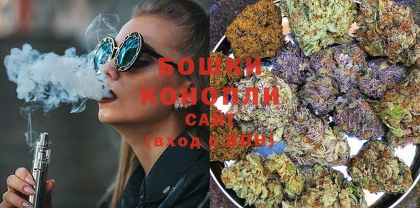 гашик Белокуриха