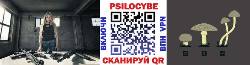 Псилоцибиновые грибы Psilocybine cubensis  Саяногорск 